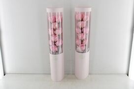 Arr9 Deco Nve - Box Of Roses Led Pink