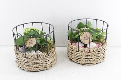 Arr2 Pl Draad Cilinder Ivana - Roze/wit