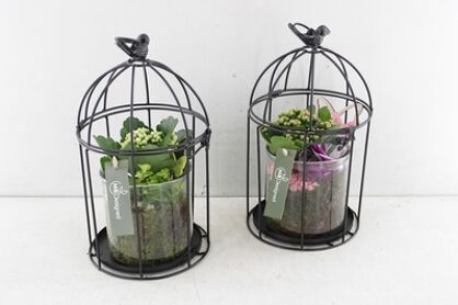 Arr2 Mb Vogelkooi Indoor - Roze/wit