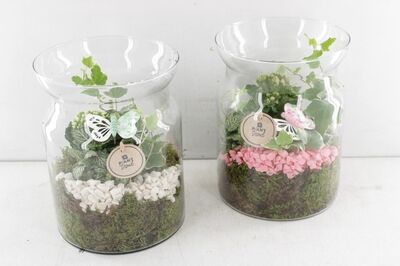 Arr2 Pl Glas Vaas Bose - Roze/wit