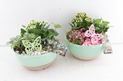 Arr2 Mb Ker. Bowl Bright Green - Roze/wit