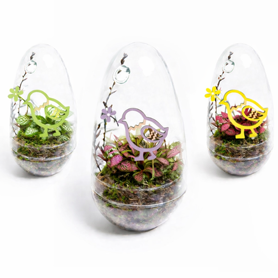 Arr3 Wa Terrarium - Easter Oeuf Medium