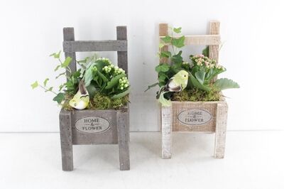 Arr2 Td Stoel Home&flowers - Mix
