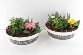 Arr6 Outdoor Nve - Zink Rond Blossom