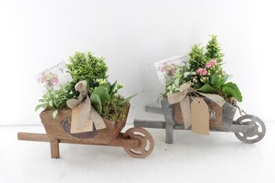Arr2 Td Kruiwagen - Roze/wit