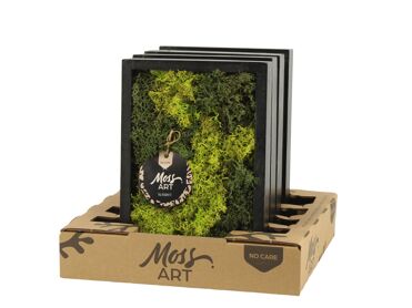 Wall Art Moss D24 90787