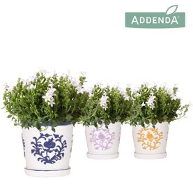 Camp Addenda Ambella White Keramiek Malaga