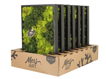Wall Art Moss D38 90778