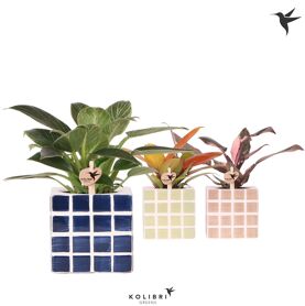 Phil Gemengd Keramiek Mosa