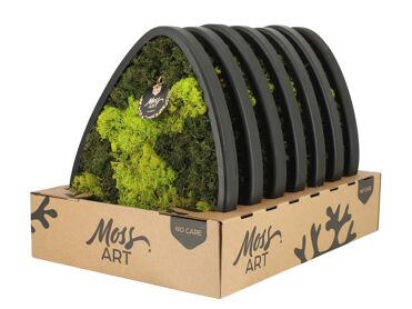 Wall Art Moss D39 90783