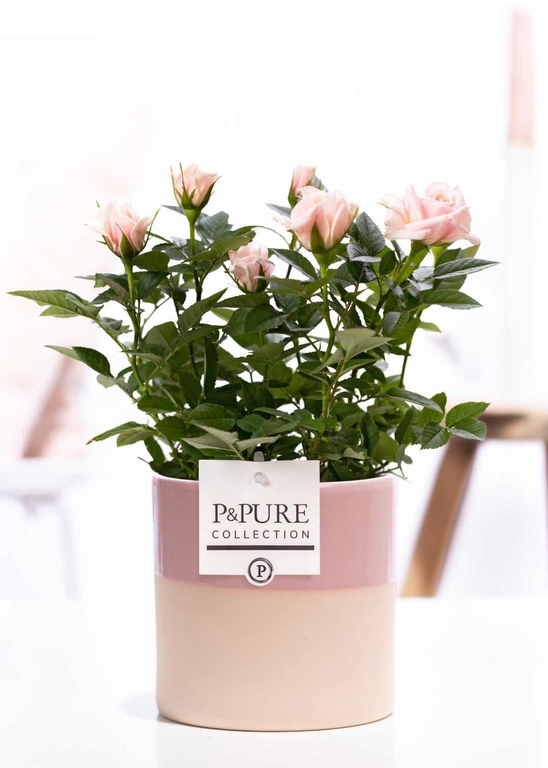 Ro Bm Licht Roze Keramiek Tess