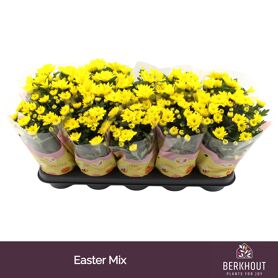 Chrys Gemengd Easter