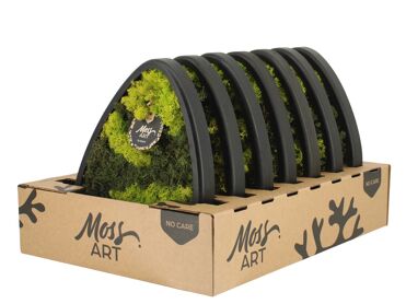 Wall Art Moss D33 90782