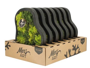 Wall Art Moss D36 90781