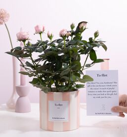 Ro Bm Licht Roze Keramiek + Giftcard To Flirt