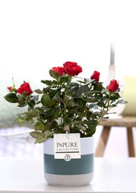 Ro Bm Rood Keramiek Lauren