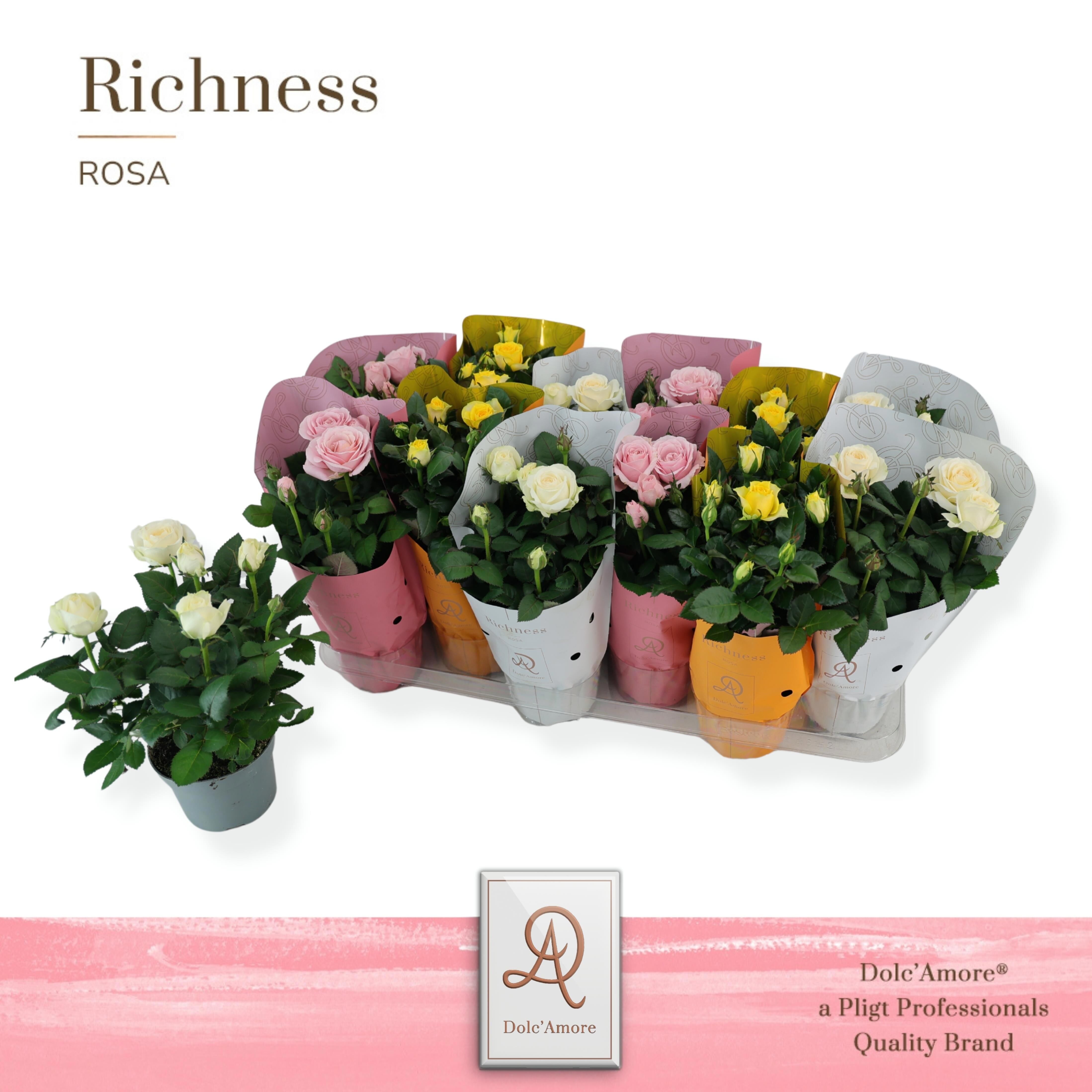 Ro Gemengd Florance Dolc'amore Hoes Metallic