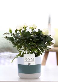 Ro Bm Wit Keramiek Lauren