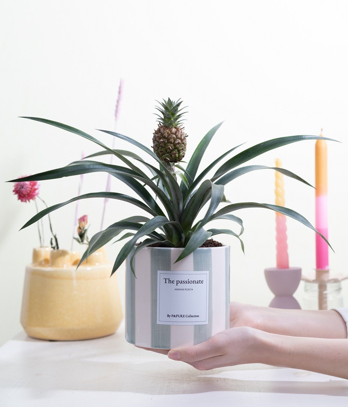 Ananas Mi Rosita Keramiek + Giftcard The Passionat