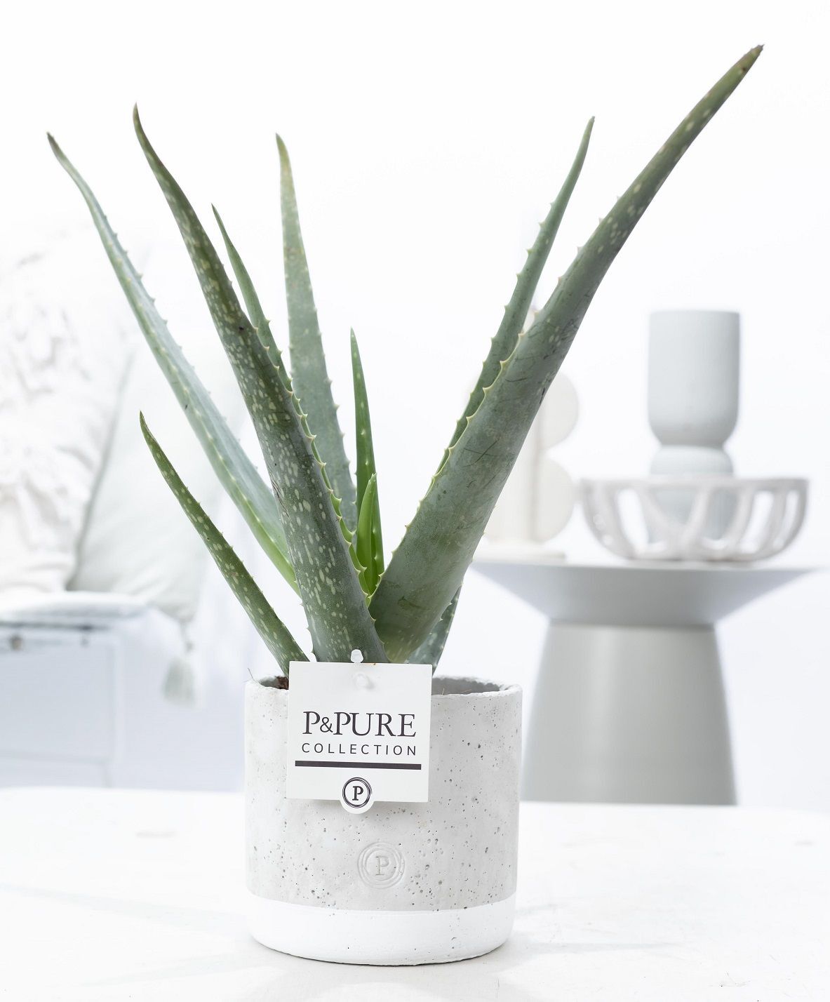Aloe Vera Keramiek Jade