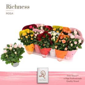 Ro Gemengd Dolc'amore Hoes Metallic Tst