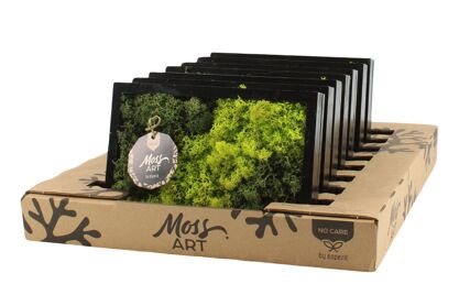 Wall Art Moss D24cm 90930