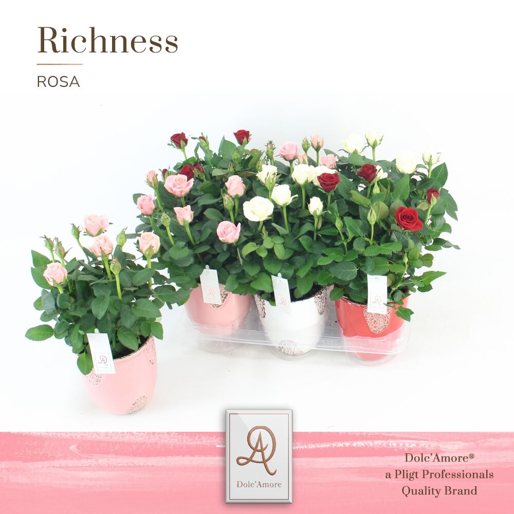 Ro Gemengd Valencia Dolc'amore Keramiek Rustique