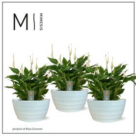 Spath Chopin 10+ Keramiek Ribana