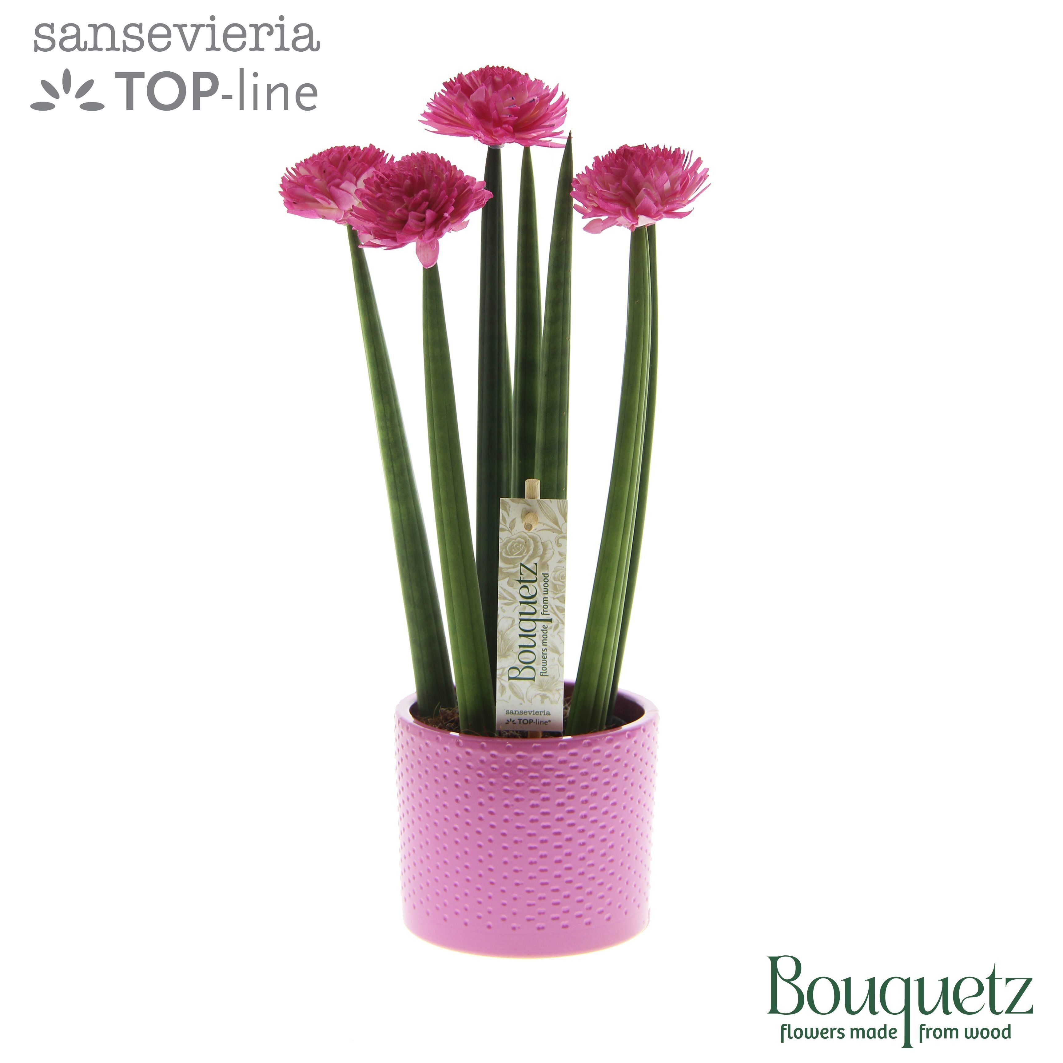 Sans Cyl Bouquetz Pink Keramiek Dots
