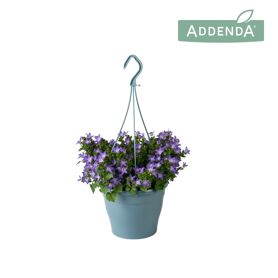 Camp Adansa Purple Hangpot
