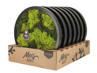 Wall Art Moss D38 90779