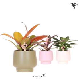 Phil Gemengd Keramiek Scandic