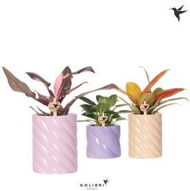 Phil Gemengd Keramiek Candy