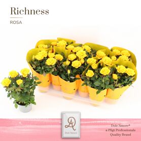 Ro Geel Dolc'amore Hoes Metallic