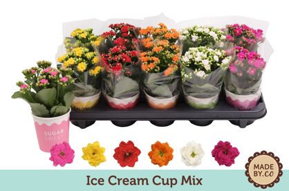 Kalan Gev Gemengd 5kl Potcover Ice Cream Cup