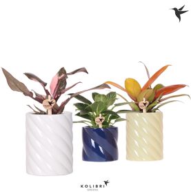 Phil Gemengd Keramiek Candy