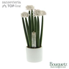 Sans Cyl Bouquetz White Keramiek Dots