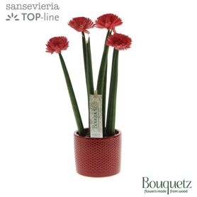 Sans Cyl Bouquetz Red Keramiek Dots