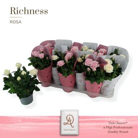 Ro Gemengd Roze & Wit Infinity Dolc'amore Hoes Ric