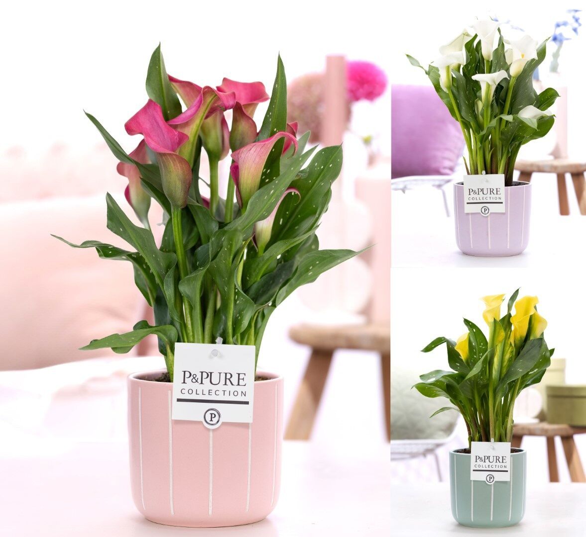 Zant Gemengd 2+ Keramiek Fleur