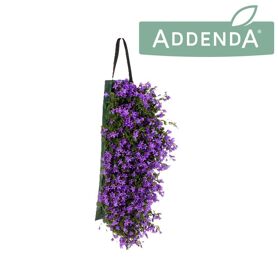 Camp Ambella Purple Wanderella