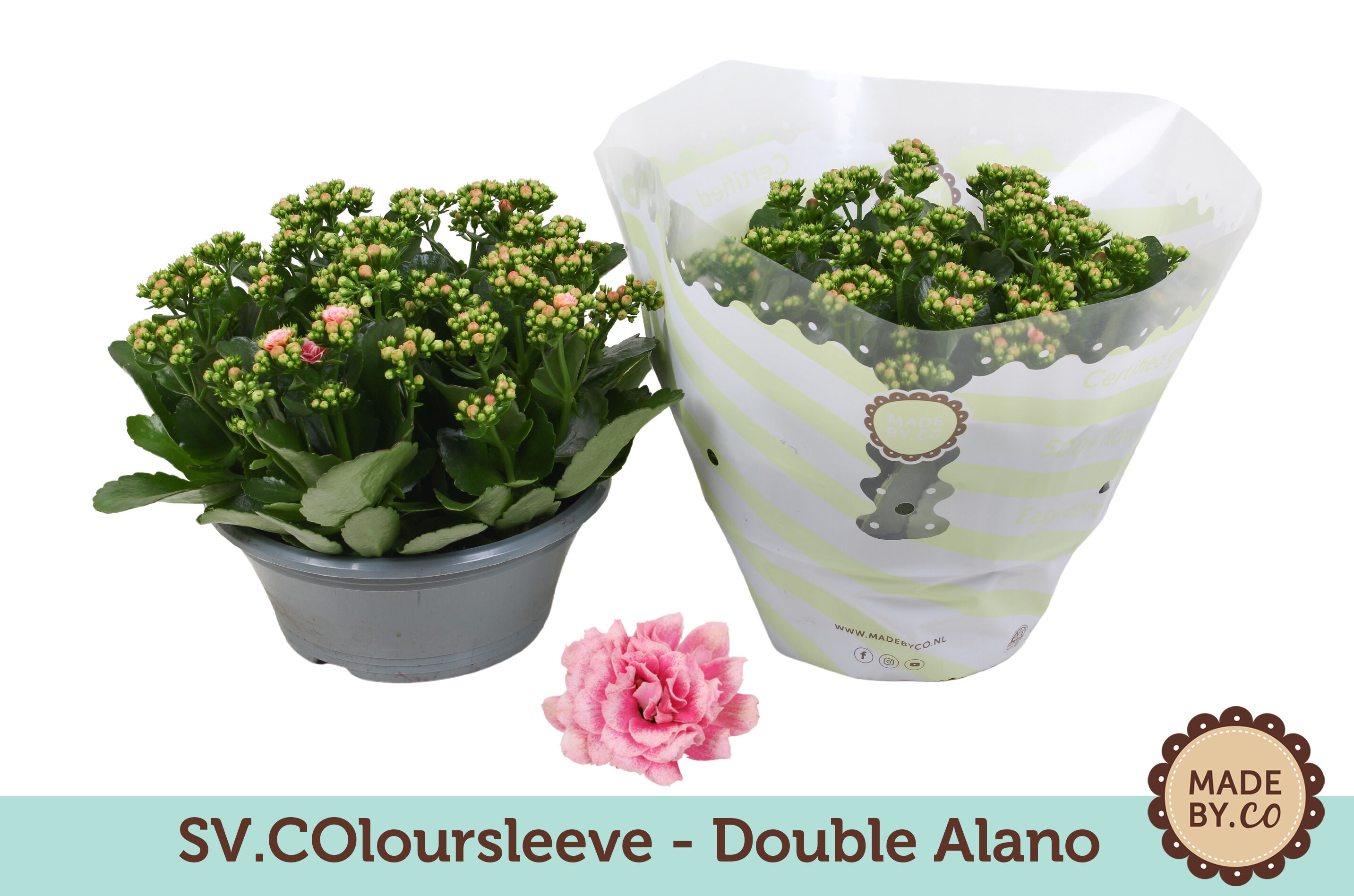 Kalan Gev 2kl Roze - Wit