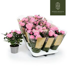 Ro Kordana Grande Adele