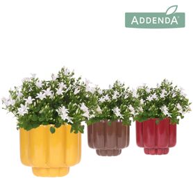 Camp Addenda Ambella White Keramiek Retro