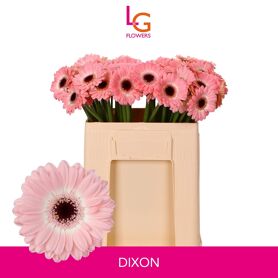 Ge Mi Dixon