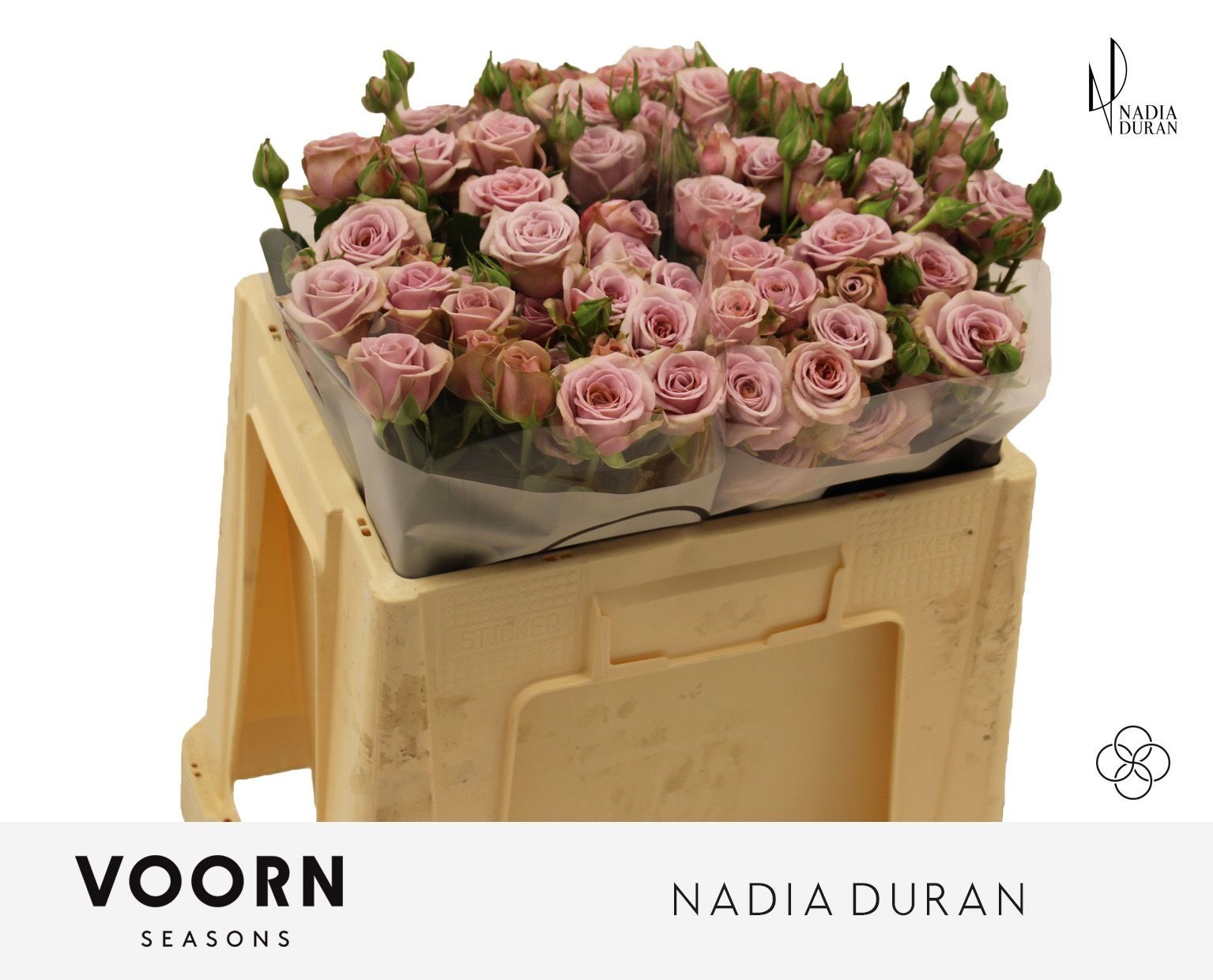 R Tr Nadia Duran