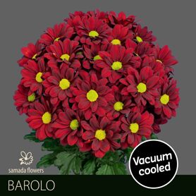 Chr T Barolo