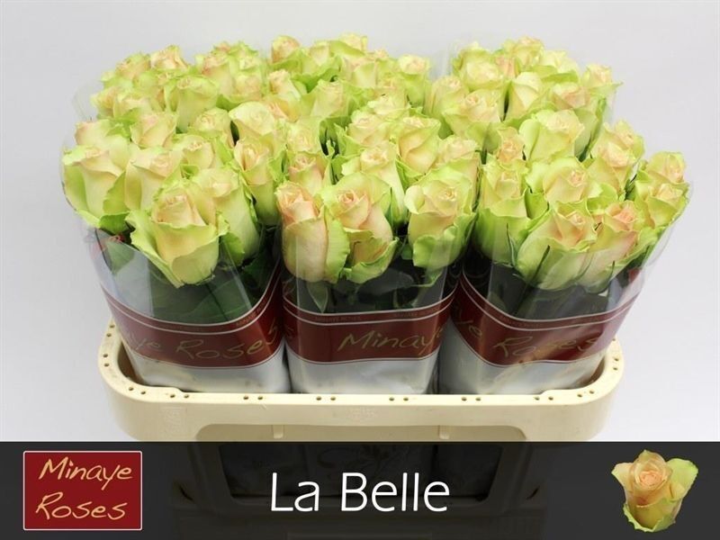 R Gr La Belle