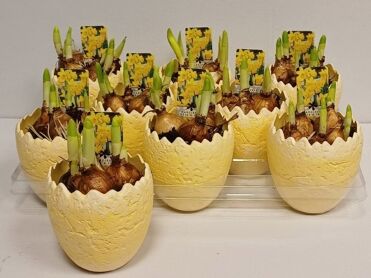 Arr N Tete A Tete Ei Keramiek