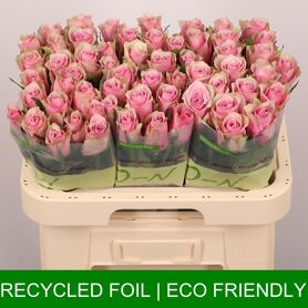 R Gr Athena Royale Extra